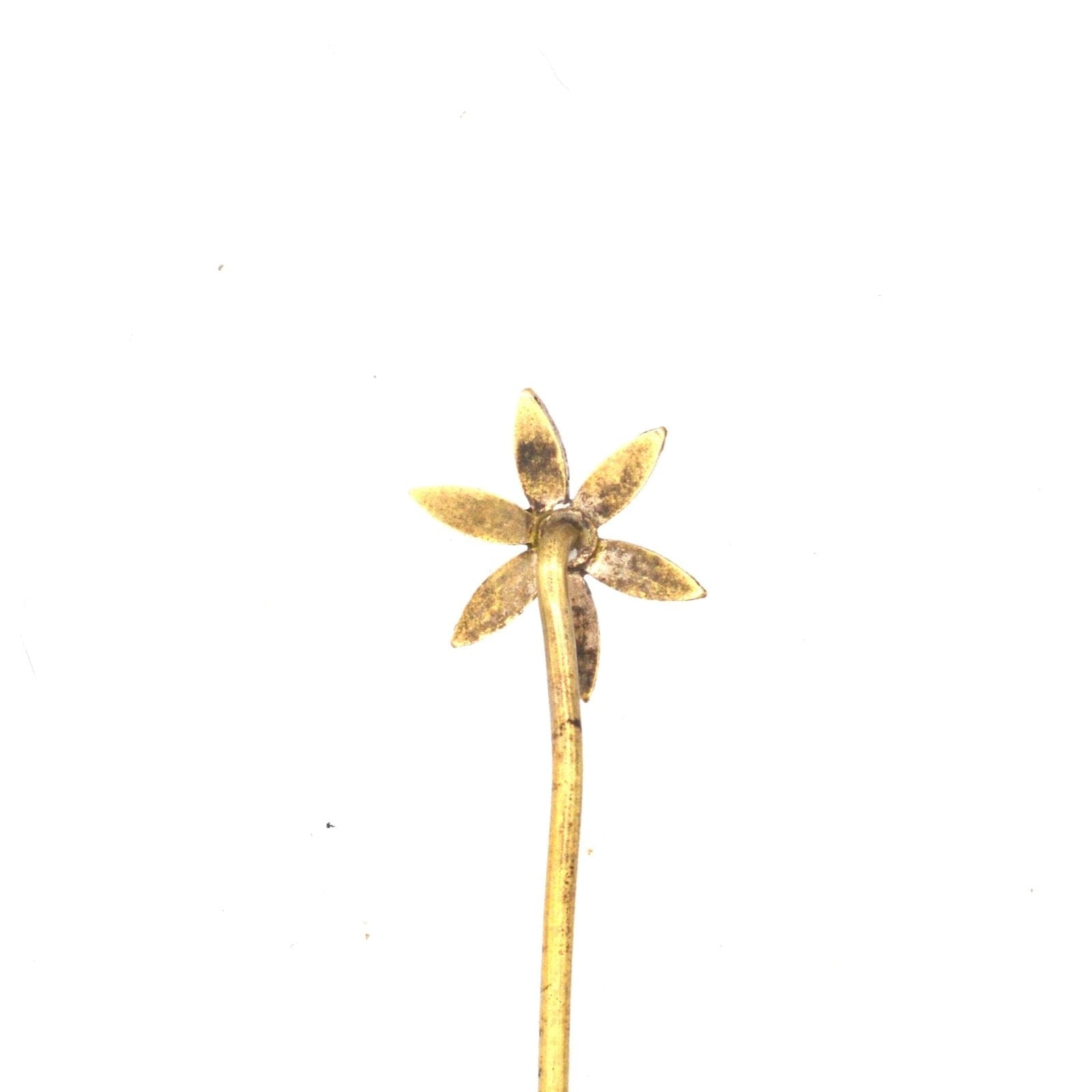 Agrandir