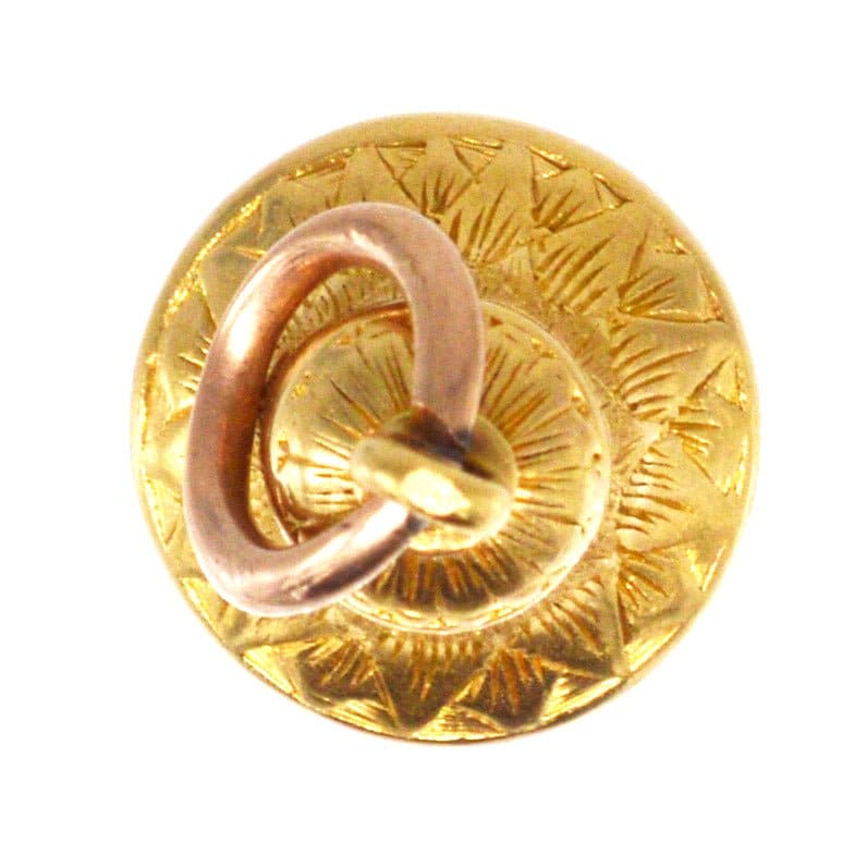 Agrandir